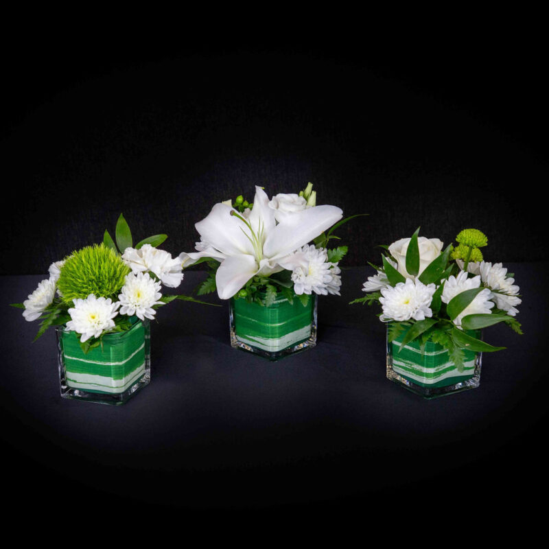 Trio de petits cubes, fleurs blanche et verte