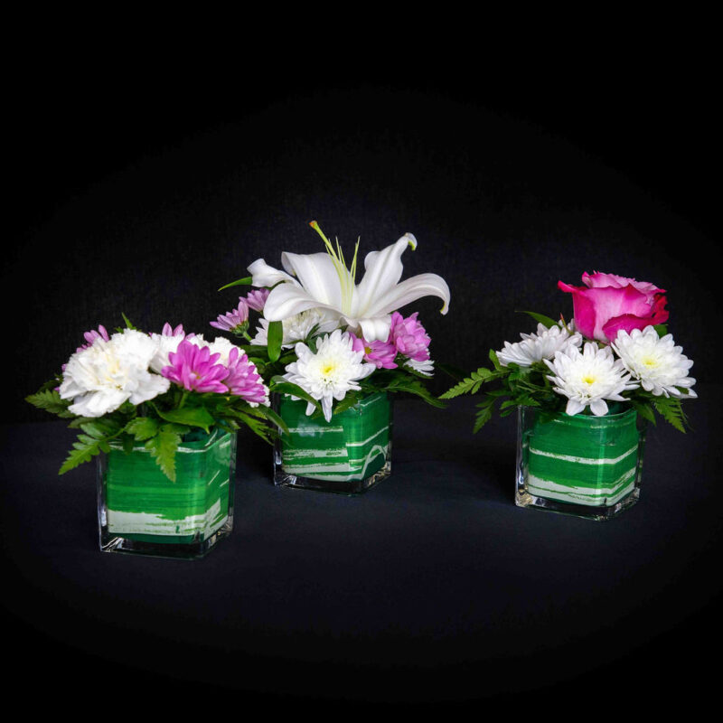Trio de petits cubes, fushia et blanc